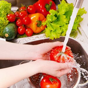 Food Safety Level 1